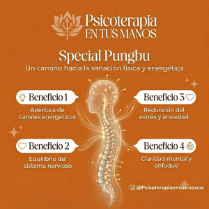 copia de pack 5x1